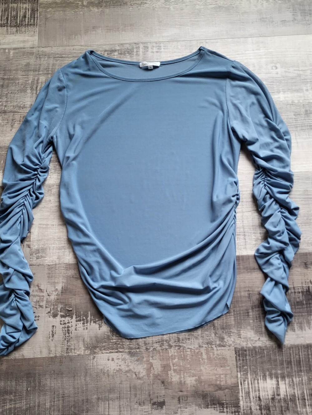 Casa Zeta-Jones Mesh Ruched Sleeve Top Womens Large Blue Sheer Stretch Blouse